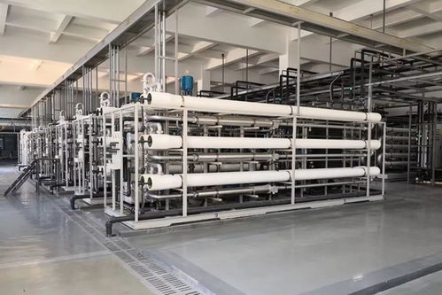 長(zhǎng)沙固體廢棄物垃圾處理廠污水日處理總規(guī)模3700立方與羊肚菌滅菌器的環(huán)保協(xié)同應(yīng)用